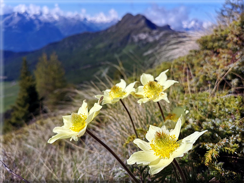 foto Anticima del Monte Meabe